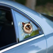 Fulcar Siamesse Araç Stickerı thumbnail 1