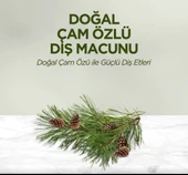 Eyüp Sabri Tuncer Doğal Diş Macunu 90 Gr Çam Özlü thumbnail 2