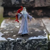 Schleich Albus Dumbledore Fawkes 42637 thumbnail 3