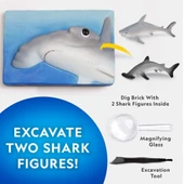 NAT07002 National Geographic Köpek Balığı Bulma Kiti - TRHAMSHDIG +6 yaş thumbnail 3