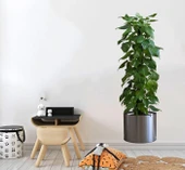 SaNessiWorldılı Bitki Tasarımlı Yapışkanlı Sticker Resim 90*30 cm MC-665 thumbnail 3