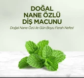 Eyüp Sabri Tuncer Doğal Diş Macunu 90 Gr Nane Özlü thumbnail 4