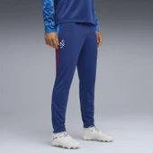 Puma Neymar JR Playmaker Trg Pant 660312 Erkek Eşofman Altı thumbnail 3