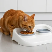 Mikopet Gri 2'si 1 Arada Mama Ve Su Kabı - 1