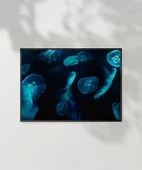 Deniz Hayvanları Poster thumbnail 1