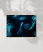 Deniz Hayvanları Poster thumbnail 4