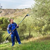 Campagnola Icarus Zeytin Ve Meyve Hasat Makinası - 3