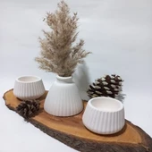 PAMPAS VAZOLU TABAKLI İKİLİ TEALİGHT MUMLUK SET BEYAZ DEKOR thumbnail 2