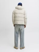 JACK JONES Erkek Kolu Yazı Baskılı Şişme Mont 12283517 thumbnail 5