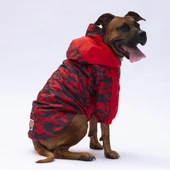 Pawstar Kırmızı Dijon Polarlı Su Geçirmez Orta-Büyük Irk Köpek Yağmurluğu thumbnail 2