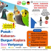 FEROXİT GARLIC Durgun '' Kabaran Kuşlar da hızlı sonuç İŞTAH ARTTIRICI SARIMSAK MUCİZESİ thumbnail 1