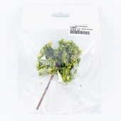 Hobbytime 11 Cm. Yuvarlak Formlu Ihlamur Ağacı Modeli, 1 Adet thumbnail 2