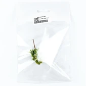 Hobbytime 5 Cm. Yassı Formlu Ihlamur Ağacı Modeli, 5 Adet thumbnail 2