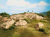 Noch 8321 Serpme Çim, Koyu Yeşil, 2.5 mm, 20 Gram Diorama Malzemesi thumbnail 1