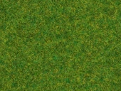 Noch 8214 Serpme Kısa Çim, Süs Çimi, 1.5 mm, 20 Gram Diorama Malzemesi thumbnail 1