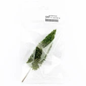 Hobbytime 11 Cm. Leylandı Ağacı Modeli, 1 Adet thumbnail 2