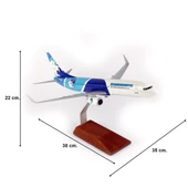 THY050 1/100 Ölçek, THY Erzurum Spor Logolu B737-800 Yolcu Uçağı, Sergilemeye Hazır Ahşap Standlı Model thumbnail 5