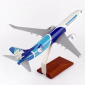THY050 1/100 Ölçek, THY Erzurum Spor Logolu B737-800 Yolcu Uçağı, Sergilemeye Hazır Ahşap Standlı Model thumbnail 4