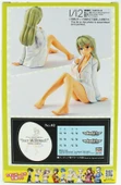 Hasegawa SP575 52735 1/12 Ölçek, 12 Egg Girls Collection 40 (Lucy McDonnell) (Dress Shirts) Resin Model Kiti thumbnail 2