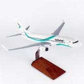 THY024 1/100 Ölçek, Tailwind Business B737-800 Yolcu Uçağı, Sergilemeye Hazır Ahşap Standlı Model thumbnail 1
