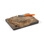 AK 621 Dry Brush Fırçası thumbnail 5