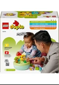 Lego Duplo İlk Şekil Ayırıcı: Köpek Evi 10441 Lisanslı Ürün thumbnail 2