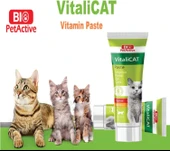 Bio Pet Active VitaliCat Taurin & Biotin İçerikli Kedi Vitamin Macunu 100 ml - 2