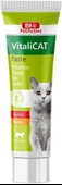 Bio Pet Active VitaliCat Taurin & Biotin İçerikli Kedi Vitamin Macunu 100 ml - 1