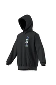 adidas Erkek  Gri  Sweatshirt GFX HOODIE JX1811 thumbnail 12
