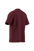 adidas  Erkek Bordo  T-shirt GRAPHIC LO SS T JX8175 thumbnail 12