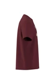 adidas  Erkek Bordo  T-shirt GRAPHIC LO SS T JX8175 thumbnail 11