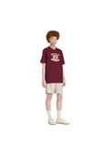 adidas  Erkek Bordo  T-shirt GRAPHIC LO SS T JX8175 thumbnail 4