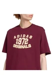 adidas  Erkek Bordo  T-shirt GRAPHIC LO SS T JX8175 thumbnail 5
