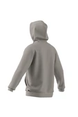 adidas  Erkek  Bej  Sweatshirt M COLLEGIATE HD JM6424 thumbnail 12