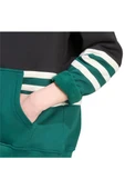 adidas  Erkek Siyah  Sweatshirt ARCHIVE HOODIE JY2798 thumbnail 6