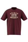 adidas  Erkek Bordo  T-shirt GRAPHIC LO SS T JX8175 thumbnail 7