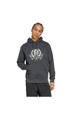 adidas  Erkek  Gri  Sweatshirt GRAPHIC LO HD JX8186 thumbnail 2