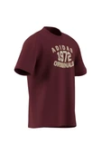 adidas  Erkek Bordo  T-shirt GRAPHIC LO SS T JX8175 thumbnail 9