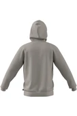 adidas  Erkek  Bej  Sweatshirt M COLLEGIATE HD JM6424 thumbnail 11