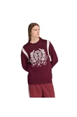 adidas  Erkek Bordo  Sweatshirt GRAPHIC REG JP JX8215 thumbnail 2