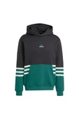 adidas  Erkek Siyah  Sweatshirt ARCHIVE HOODIE JY2798 thumbnail 1