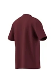 adidas  Erkek Bordo  T-shirt GRAPHIC LO SS T JX8175 thumbnail 8