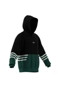 adidas  Erkek Siyah  Sweatshirt ARCHIVE HOODIE JY2798 thumbnail 9