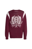adidas  Erkek Bordo  Sweatshirt GRAPHIC REG JP JX8215 thumbnail 1