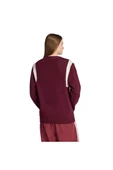 adidas  Erkek Bordo  Sweatshirt GRAPHIC REG JP JX8215 thumbnail 3