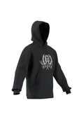 adidas  Erkek  Gri  Sweatshirt GRAPHIC LO HD JX8186 thumbnail 8