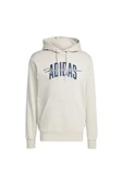 adidas  Erkek  Bej  Sweatshirt M COLLEGIATE HD JM6424 thumbnail 1