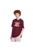 adidas  Erkek Bordo  T-shirt GRAPHIC LO SS T JX8175 thumbnail 2
