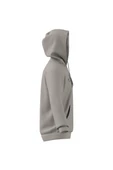 adidas  Erkek  Bej  Sweatshirt M COLLEGIATE HD JM6424 thumbnail 9