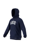 adidas  Erkek  Mavi  Sweatshirt M COLLEGIATE HD JM6428 thumbnail 12